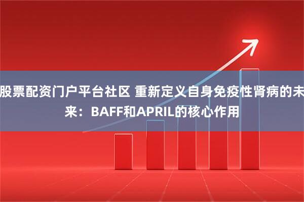 股票配资门户平台社区 重新定义自身免疫性肾病的未来：BAFF和APRIL的核心作用