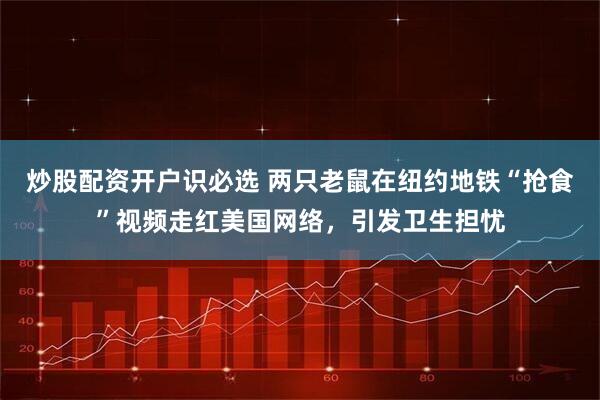 炒股配资开户识必选 两只老鼠在纽约地铁“抢食”视频走红美国网络，引发卫生担忧